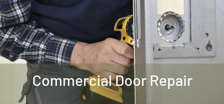 Commercial Door Repair