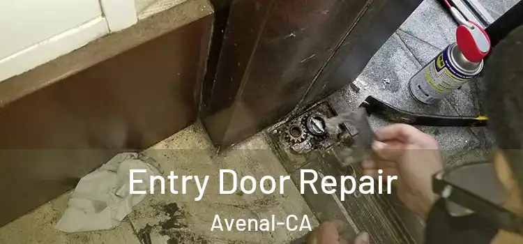 Entry Door Repair Avenal-CA