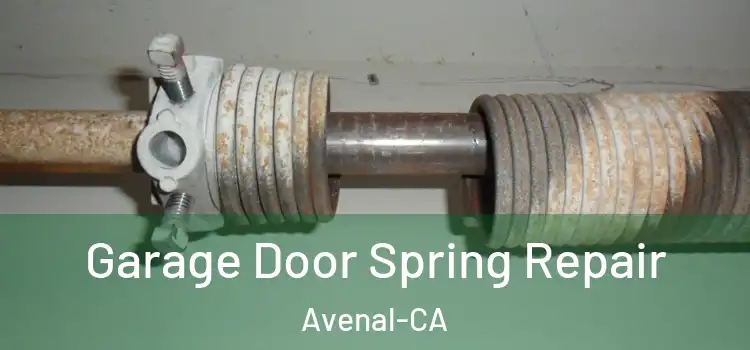  Garage Door Spring Repair Avenal-CA