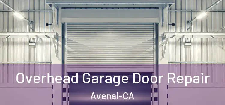 Overhead Garage Door Repair Avenal-CA